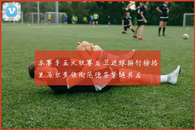 本赛季五大联赛后卫进球排行榜格里马尔多领衔范德芬紧随其后