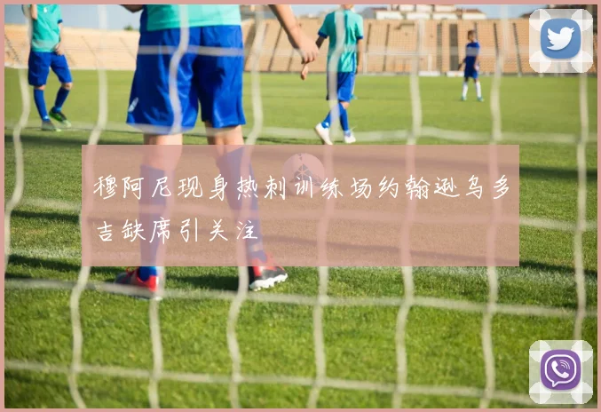 穆阿尼现身热刺训练场约翰逊乌多吉缺席引关注