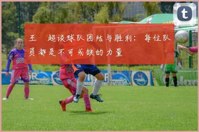 王燊超谈球队团结与胜利：每位队员都是不可或缺的力量