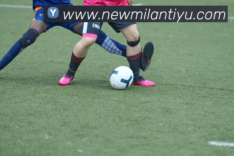 多媒体互动体验